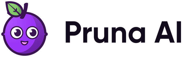 Pruna AI